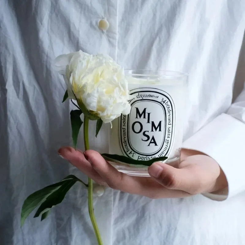 Scented Candles, France Fragrance, Mood Diffuser, Fresh Light, Home Fragrance, Lasting Air Companion
