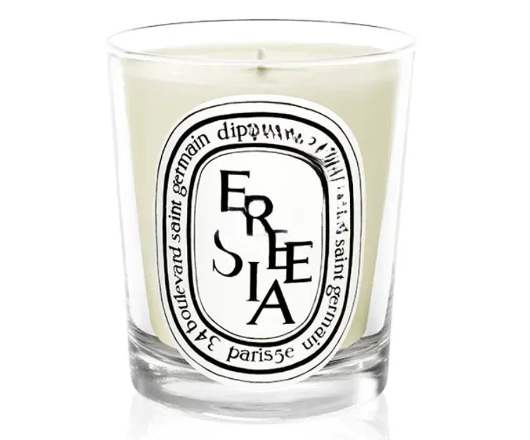 Scented Candles, France Fragrance, Mood Diffuser, Fresh Light, Home Fragrance, Lasting Air Companion